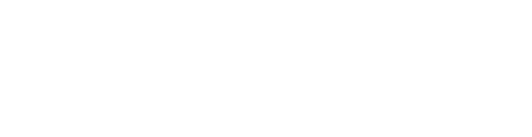Gov. Excellence Logo